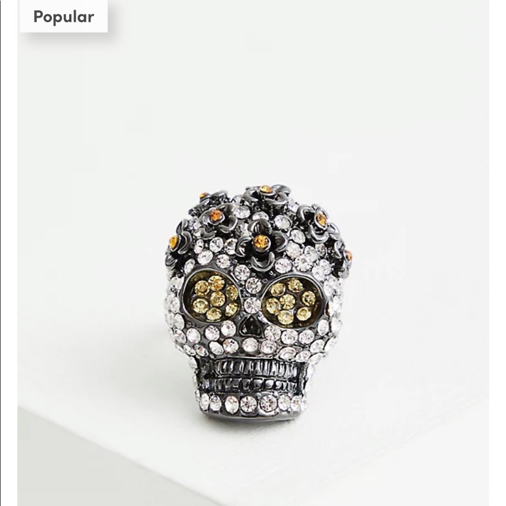 Embellished Hematite Skull 💀 Ring